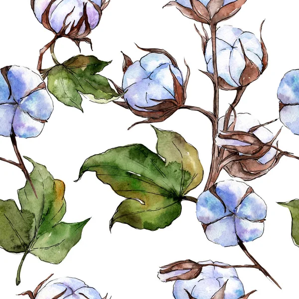 Wildflower cotton flower pattern  in a watercolor style. — Stock Photo, Image