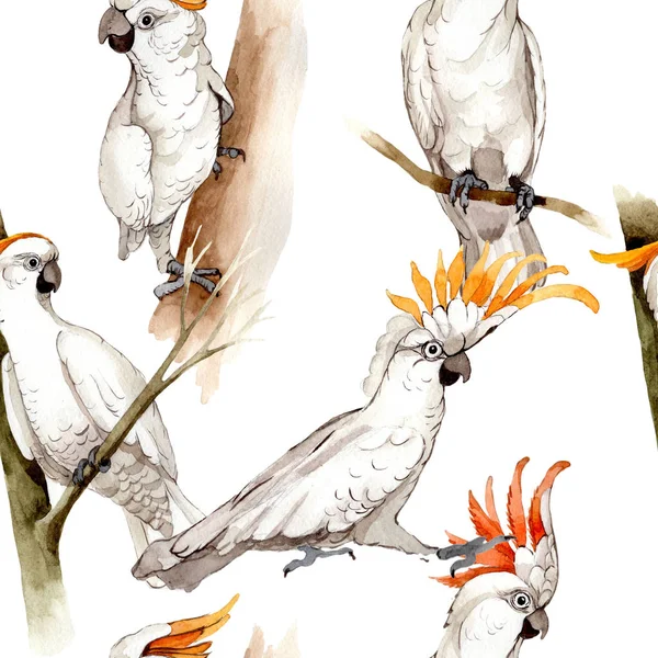 Белый ара небесной птицы в дикой природе в стиле акварели . — стоковое фото