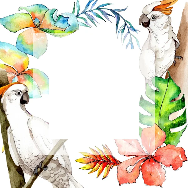Sky fågel vit Ara ram i ett djurliv av akvarell stil. — Stockfoto