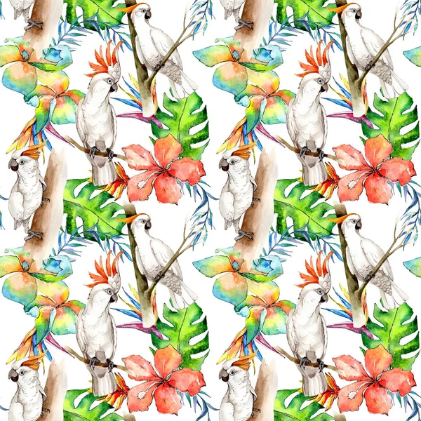 Gökyüzü kuş beyaz Amerika papağanı desende bir yaban hayatı suluboya stili tarafından.