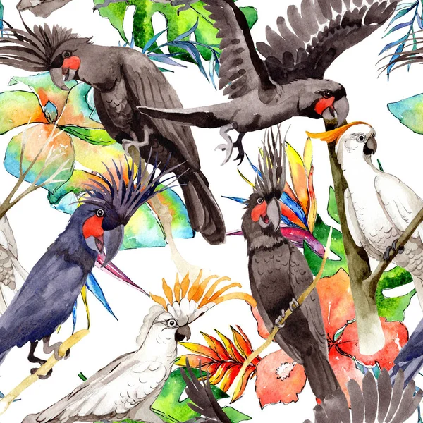 Sky bird black macaw pattern in a wildlife by watercolor style. — Stock Photo, Image