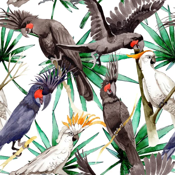 Gökyüzü kuş siyah Amerika papağanı desende bir yaban hayatı suluboya stili tarafından.