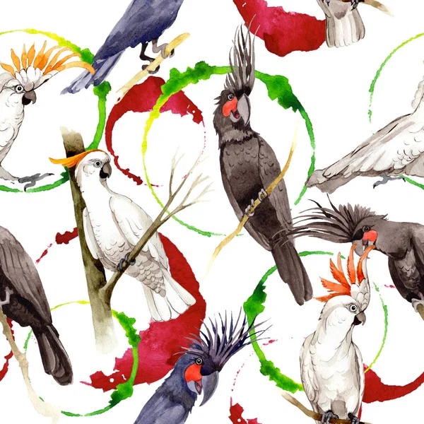 Gökyüzü kuş siyah Amerika papağanı desende bir yaban hayatı suluboya stili tarafından.