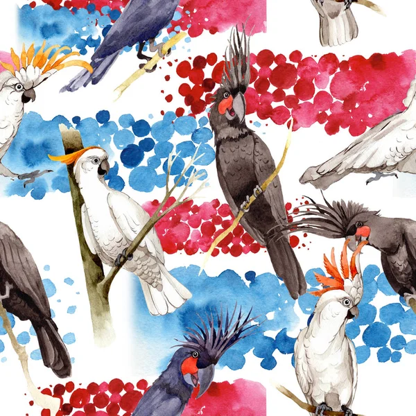 Gökyüzü kuş siyah Amerika papağanı desende bir yaban hayatı suluboya stili tarafından.