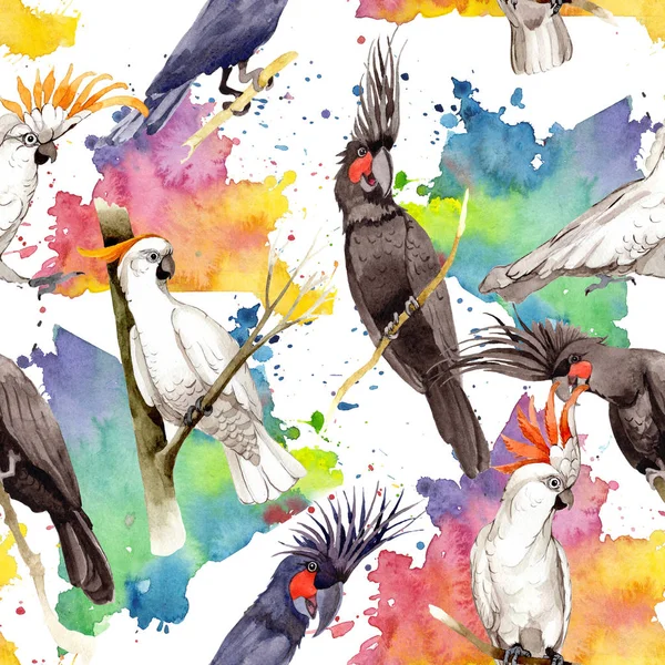 Égbolt madár fekete ara minta egy vadon élő állatok akvarell stílus. — Stock Fotó