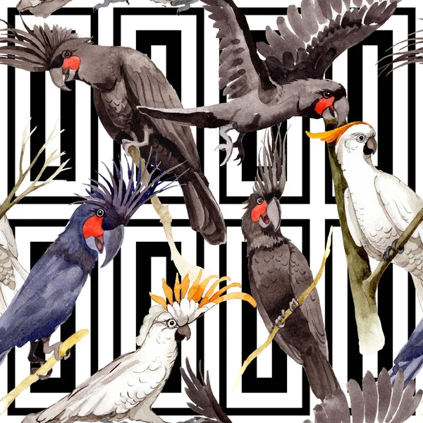 Sky fågel svart Ara mönster i ett djurliv av akvarell stil. — Stockfoto