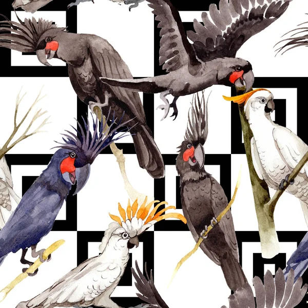 Gökyüzü kuş siyah Amerika papağanı desende bir yaban hayatı suluboya stili tarafından.
