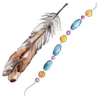 Suluboya kuş tüyü izole kanat üzerinden.