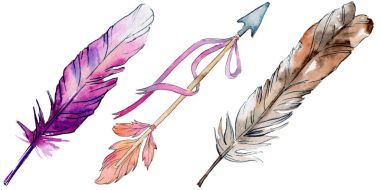 Suluboya kuş tüyü izole kanat üzerinden.