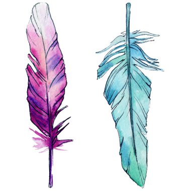 Suluboya kuş tüyü izole kanat üzerinden.