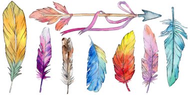 Suluboya kuş tüyü izole kanat üzerinden.