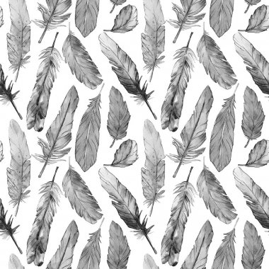 Suluboya kuş tüyü desen Wing.