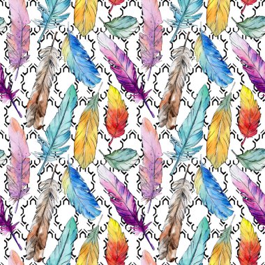 Suluboya kuş tüyü desen Wing.