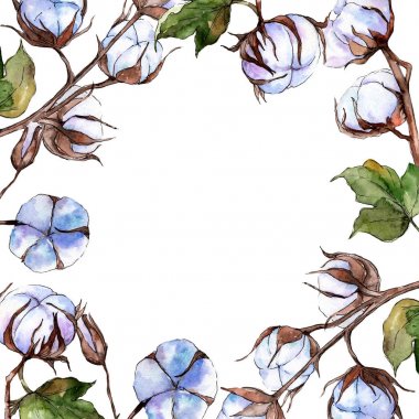 Kır çiçeği pamuk çiçek çerçeve suluboya tarzında.