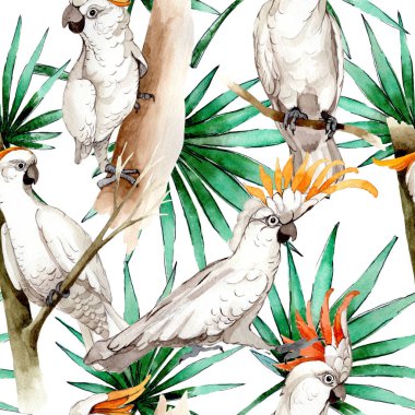 Gökyüzü kuş beyaz Amerika papağanı desende bir yaban hayatı suluboya stili tarafından.