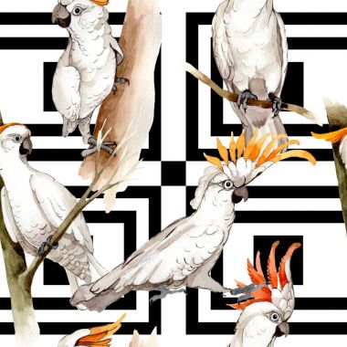 Gökyüzü kuş beyaz Amerika papağanı desende bir yaban hayatı suluboya stili tarafından.