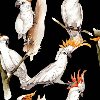 Gökyüzü kuş beyaz Amerika papağanı desende bir yaban hayatı suluboya stili tarafından.