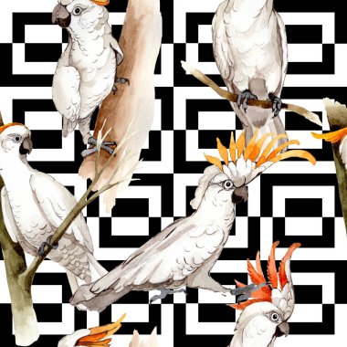 Gökyüzü kuş beyaz Amerika papağanı desende bir yaban hayatı suluboya stili tarafından.