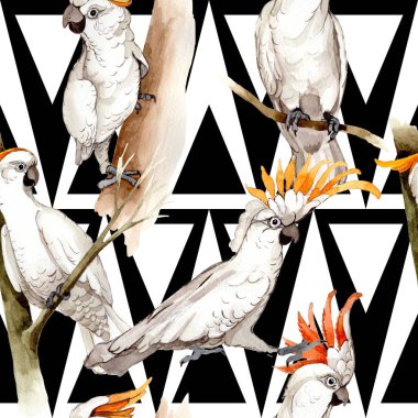 Gökyüzü kuş beyaz Amerika papağanı desende bir yaban hayatı suluboya stili tarafından.