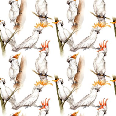 Gökyüzü kuş beyaz Amerika papağanı desende bir yaban hayatı suluboya stili tarafından.
