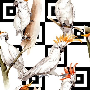 Gökyüzü kuş beyaz Amerika papağanı desende bir yaban hayatı suluboya stili tarafından.