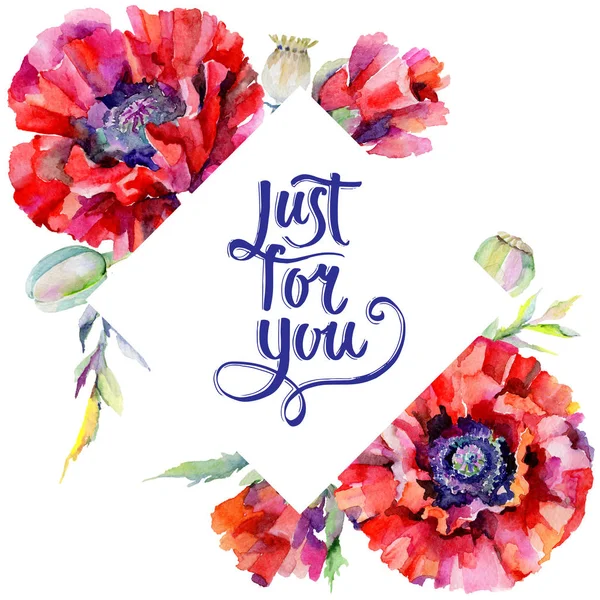 Kır çiçeği haşhaş çiçek çerçeve suluboya tarzında.