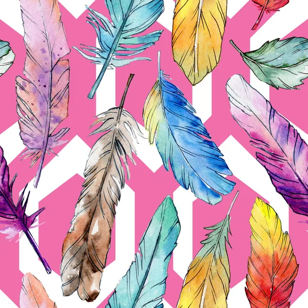 Watercolor bird feather pattern from wing. — Stock Photo, Image