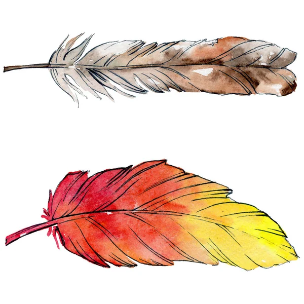 Watercolor bird feather from wing isolated. — Stock Photo, Image