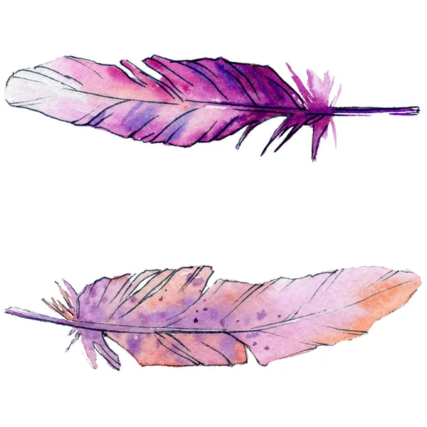 Watercolor bird feather from wing isolated. — Stock Photo, Image