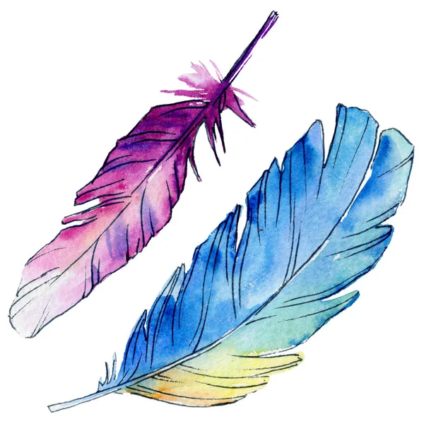 Watercolor bird feather from wing isolated. — Stock Photo, Image