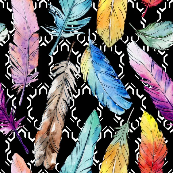 Watercolor bird feather pattern from wing. — Stock Photo, Image