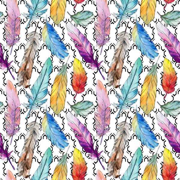 Suluboya kuş tüyü desen Wing.