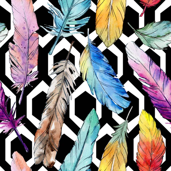 Watercolor bird feather pattern from wing. — Stock Photo, Image