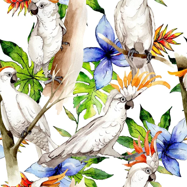 Sky bird white macaw pattern in a wildlife by watercolor style. — Stock Photo, Image