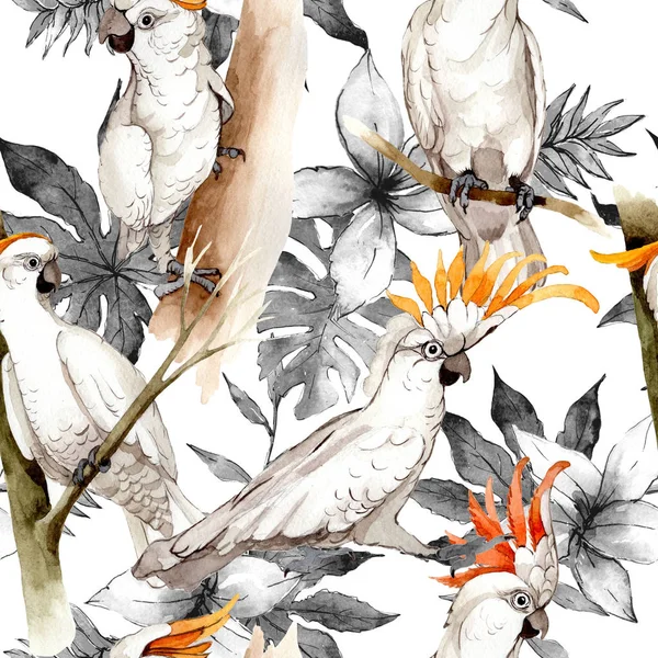 Cielo pájaro patrón de guacamayo blanco en una vida silvestre por estilo acuarela . —  Fotos de Stock