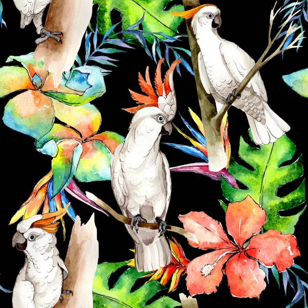 Sky bird white macaw pattern in a wildlife by watercolor style. — Stock Photo, Image