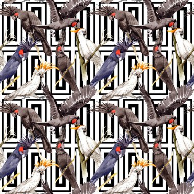 Gökyüzü kuş siyah Amerika papağanı desende bir yaban hayatı suluboya stili tarafından.