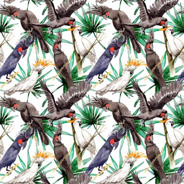 Gökyüzü kuş siyah Amerika papağanı desende bir yaban hayatı suluboya stili tarafından.