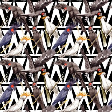 Gökyüzü kuş siyah Amerika papağanı desende bir yaban hayatı suluboya stili tarafından.