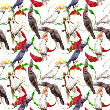 Gökyüzü kuş siyah Amerika papağanı desende bir yaban hayatı suluboya stili tarafından.