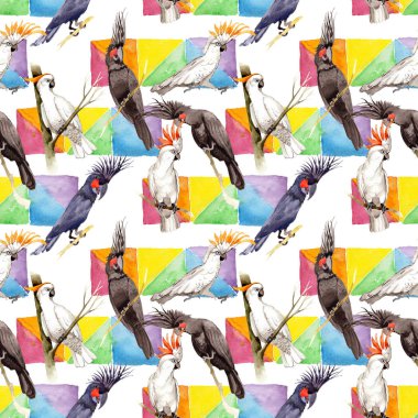 Gökyüzü kuş siyah Amerika papağanı desende bir yaban hayatı suluboya stili tarafından.