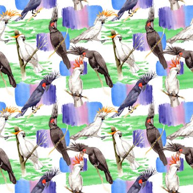 Gökyüzü kuş siyah Amerika papağanı desende bir yaban hayatı suluboya stili tarafından.