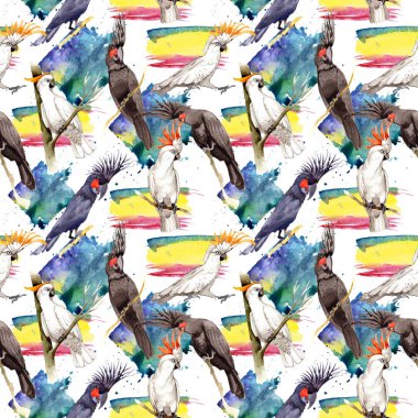 Gökyüzü kuş siyah Amerika papağanı desende bir yaban hayatı suluboya stili tarafından.