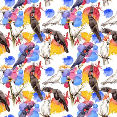 Gökyüzü kuş siyah Amerika papağanı desende bir yaban hayatı suluboya stili tarafından.