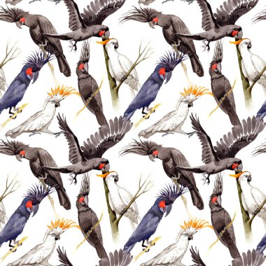 Gökyüzü kuş siyah Amerika papağanı desende bir yaban hayatı suluboya stili tarafından.