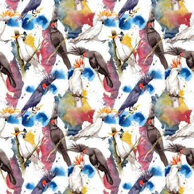 Gökyüzü kuş siyah Amerika papağanı desende bir yaban hayatı suluboya stili tarafından.