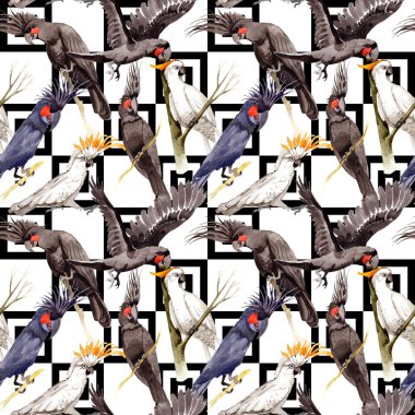 Gökyüzü kuş siyah Amerika papağanı desende bir yaban hayatı suluboya stili tarafından.