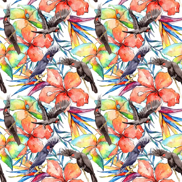 Gökyüzü kuş siyah Amerika papağanı desende bir yaban hayatı suluboya stili tarafından.