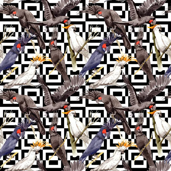 Gökyüzü kuş siyah Amerika papağanı desende bir yaban hayatı suluboya stili tarafından.