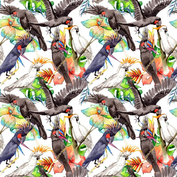 Gökyüzü kuş siyah Amerika papağanı desende bir yaban hayatı suluboya stili tarafından.